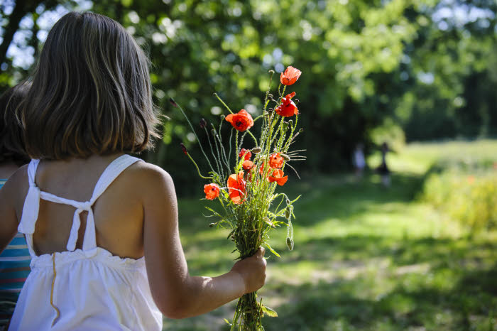 03 juillet 2014 : Promenade dans la campagne. Petite fille tenant un bouquet de coquelicots à la main. Maurecourt (95), Val d'Oise, France. July 03, 2014: A walk in the countryside. Maurecourt (95), France.