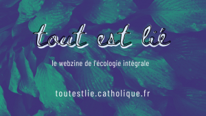 « Tout est lié », un webzine sur l'écologie intégrale proposé par la Conférence des évêques de France.