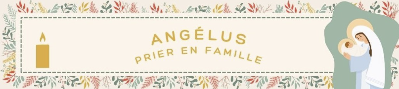 Capture d'écran 2025-11-21 123259