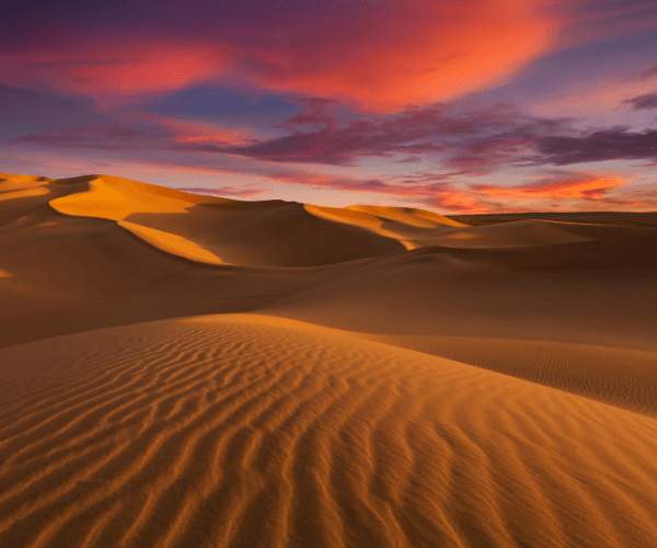 Site-EC-illustrations-de-texte-5