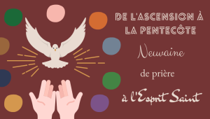 Semaine de prière pour l'unité des chrétiens du 18 au 25 janvier 2024 - Le  Diocèse de Quimper et Léon